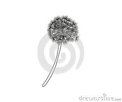 Blow Dandelion on white background. Vector Illustration