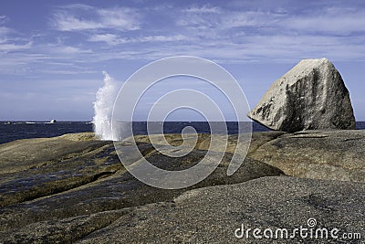 Blowhole at Bicheno erupting water in Tasmania, Australia Stock Photo