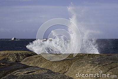 Blowhole at Bicheno erupting water in Tasmania, Australia Stock Photo