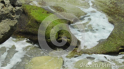 Blowing rocks state park Stock Photo