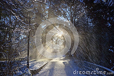 Vancouver Island with Falling Snow and Rising Winter Sun at Gorge Waterway Park, Victoria, BC, Canada Stock Photo