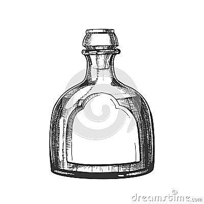 Blown Classic Mexican Tequila Glass Bottle Vector Vector Illustration