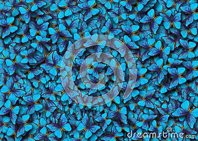 Blue abstract texture background. Butterfly Morpho. Wings of a butterfly Morpho. Stock Photo