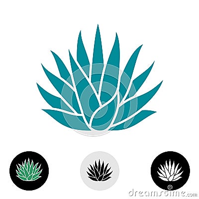 Blue agave plant vector silhouette. Vector Illustration