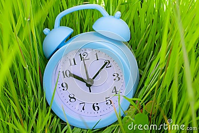 Blue alarm clock lying on bright lush young green grass. Metaphor Stock Photo