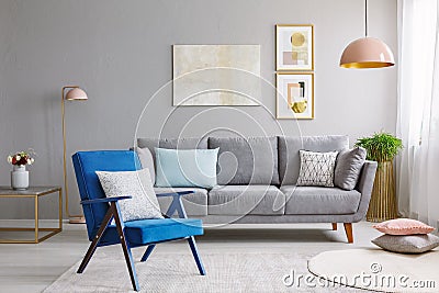 Blue armchair near grey settee in modern living room interior wi Stock Photo