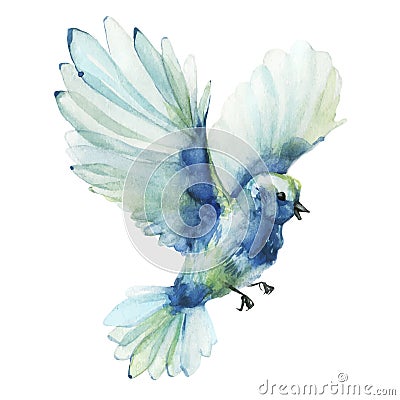 Blue and azure flying bird. Vector traced gentle watercolor painted illustration. Vector Illustration