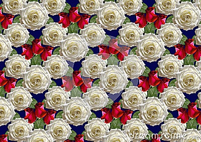 Blue background of bouquet large white roses and red buds Stock Photo