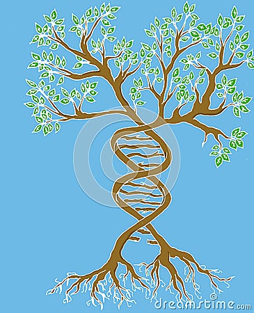 Blue background of genetical tree Stock Photo