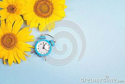 Blue background with small alarm clock and yellow sunflowers. Stock Photo