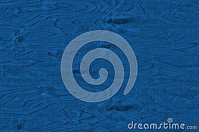 Blue background. The texture of natural birch veneer with knots in Pantone classic blue. Stock Photo