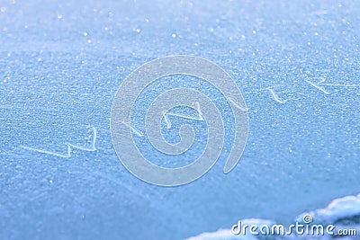 Blue background. White inscription. Brilliant snowflakes Stock Photo