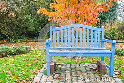 Blue Bench Orange Fall Color Tree Stock Photo