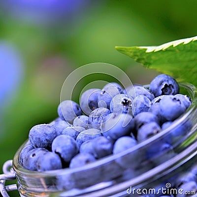 Blue berries Stock Photo