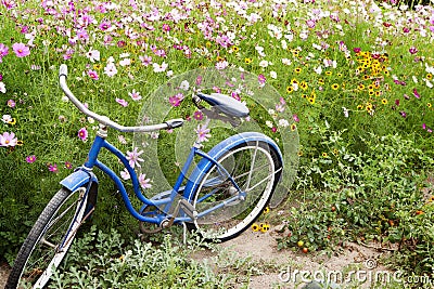 Blue Bicycle Flowers Garden Stock Photo