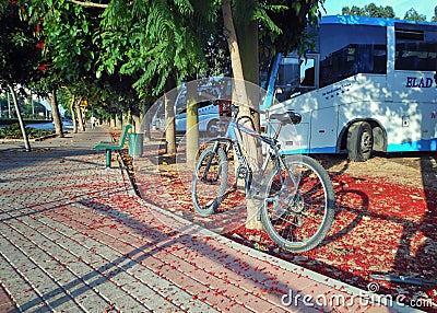 Blue bicycle shackled to a tree at shadow sidewalk Editorial Stock Photo