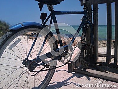 Blue Bike By the Gulf of Mexico Stock Photo