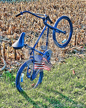 A blue bike leaning backward by itself with a flag in the spokes in a field Stock Photo