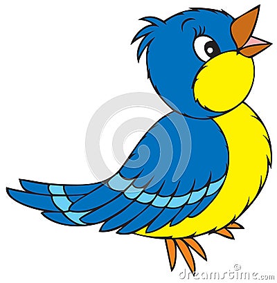 Blue bird Vector Illustration