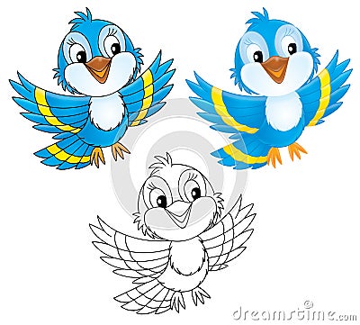 Blue bird Cartoon Illustration