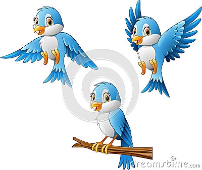 Blue bird cartoon Vector Illustration