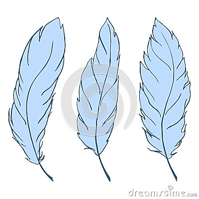 Blue bird feather line art set vector Vector Illustration