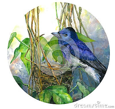 Blue bird on nest in leaves. Watercolor illustration in circle Cartoon Illustration