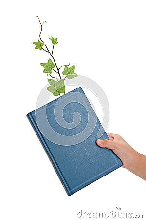Blue book and Sprout Stock Photo