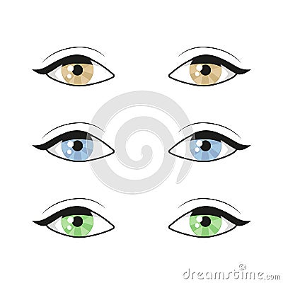 Blue brown green Eyes on white background. Woman eyes. The eyes logo. Human set eyes close up vector illustration Cartoon Illustration