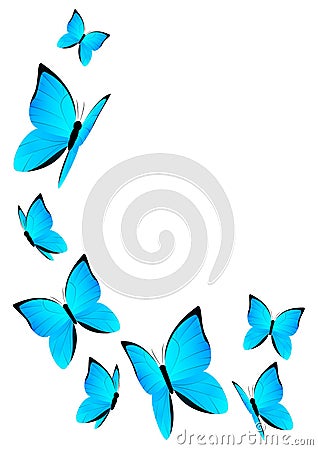 Blue butterflies isolated Vector Illustration