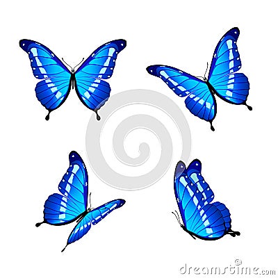 Blue butterflies Vector Illustration