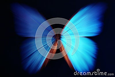 Blue butterfly abstract with zoom Stock Photo