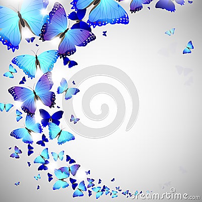 Blue butterfly Vector Illustration