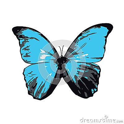 Blue Butterfly or Moth Vector Illustration