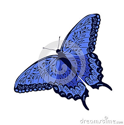 Blue butterfly. Patterned wings, a summer meadow insect Vector Illustration