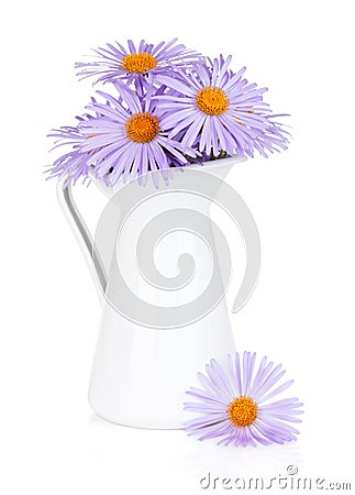 Blue camomile flowers in jug Stock Photo