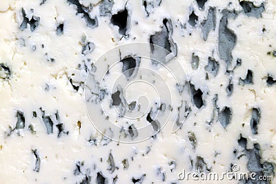 Blue cheese background texture Stock Photo