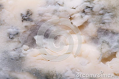 Blue cheese mold texture closeup Stock Photo