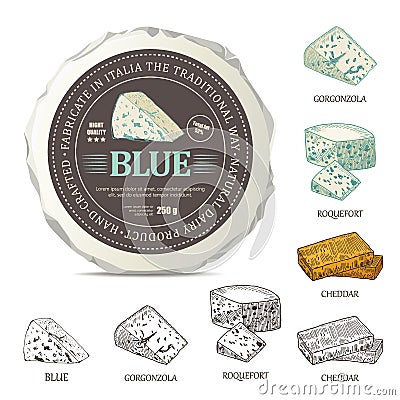 Blue cheese sticker design on mockup wrapper. Vector label with outline curds set. Vector Illustration