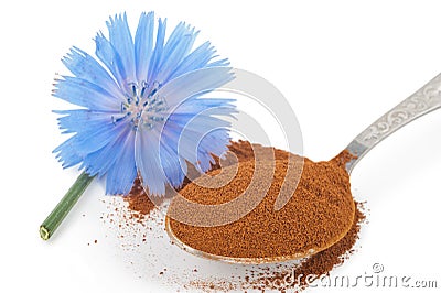 Blue chicory flower and powder of instant chicory Stock Photo