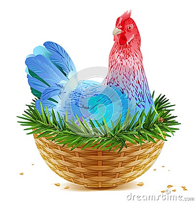 Blue Christmas chicken laying hen symbol of 2017 sits in basket nest on spruce branch Vector Illustration