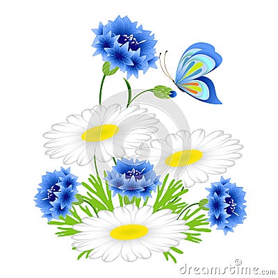 Blue cornflowers and chamomiles with a butterfly on a white background. Vector Illustration