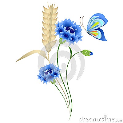 Blue cornflowers and wheat ears with a butterfly on a white background. Vector Illustration