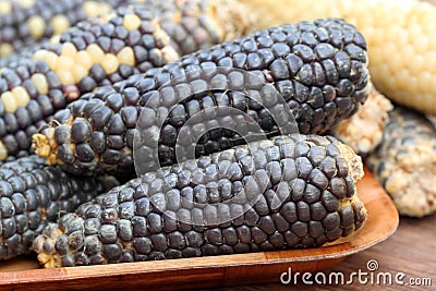 Blue corns Stock Photo