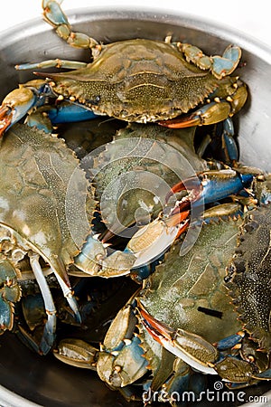 Blue Crab Stock Photo