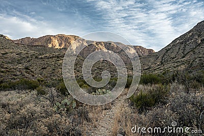 Blue Creek Trail Leads Into The Chisos Mountains Stock Photo