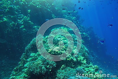 Blue Deep Seabed Underwater Background Stock Photo
