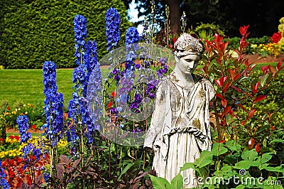 Blue delphinium garden Stock Photo