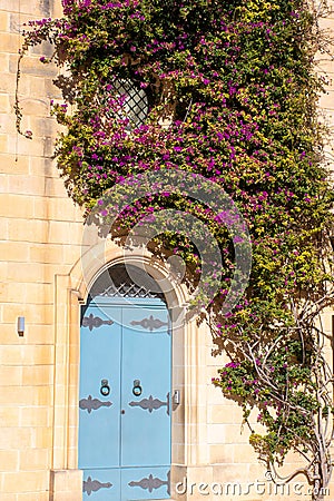 Blue door and purple flowers covering stone wall in Malta Stock Photo