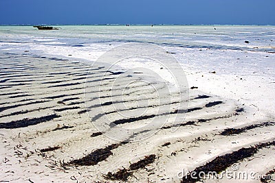 In the blue elax of zanzibar coastline pirague Stock Photo